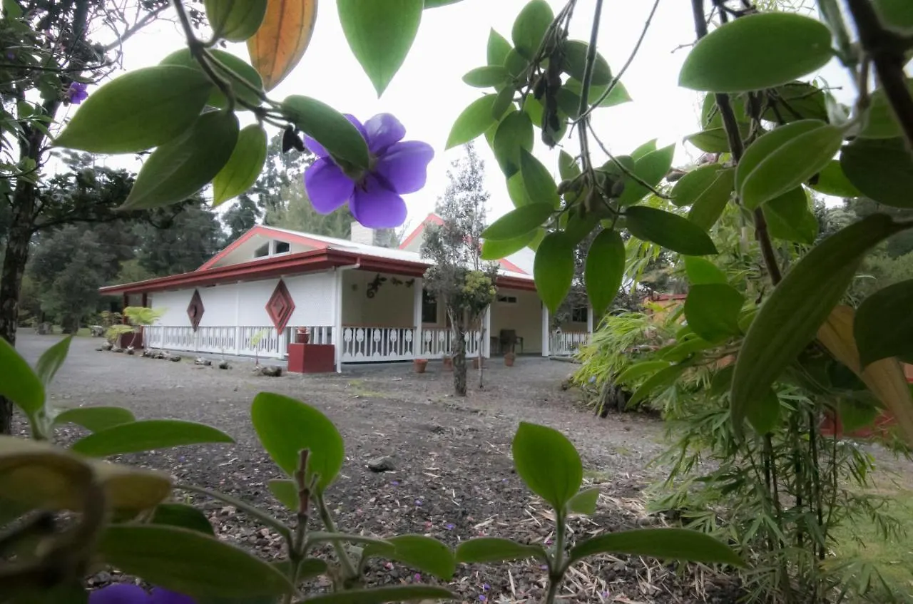 Lokahi Lodge Volcano